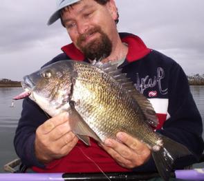 Another big bad bream horsed from the snags. 46cm and 4lbs